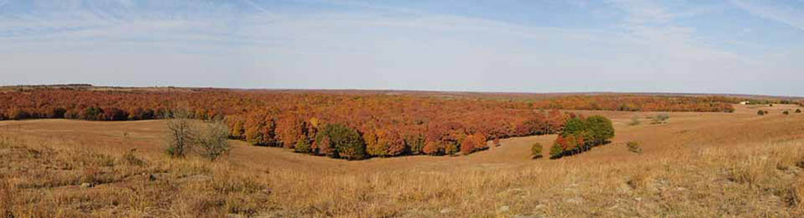 Kansas hunting land